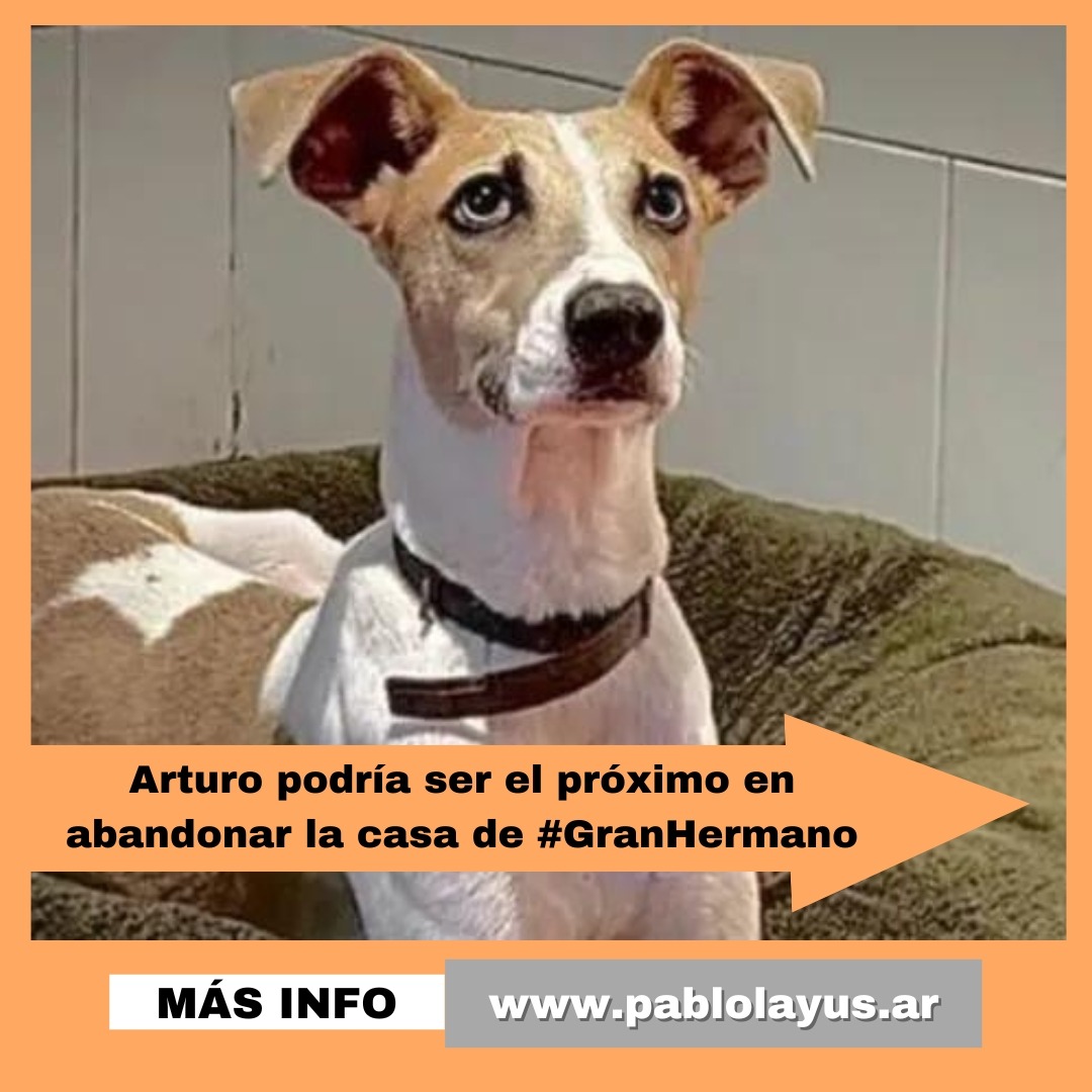 Arturo podría ser el próximo en abandonar la casa de #GranHermano